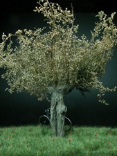 FoG Models 1/35 Scale Tree