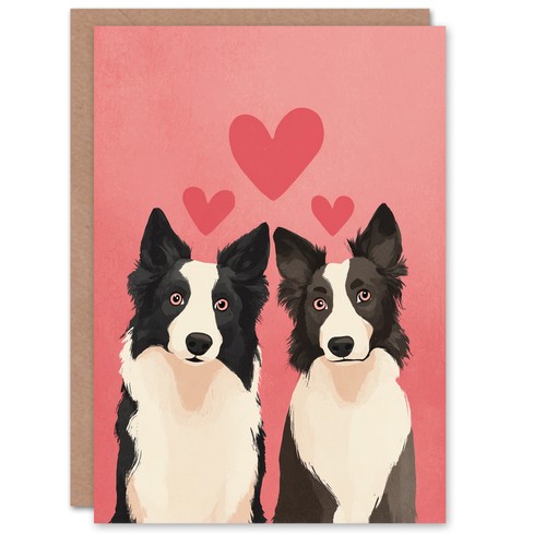 Border collie dog lover - border,