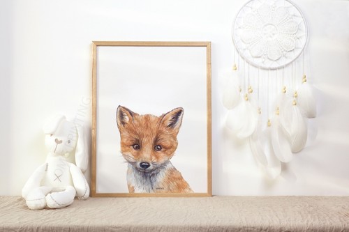 Baby fox cub - fox,