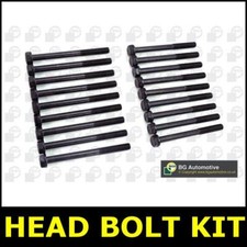 Head Bolt Kit Fits Isuzu