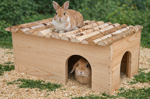 Ollesch large rodent house for - large,