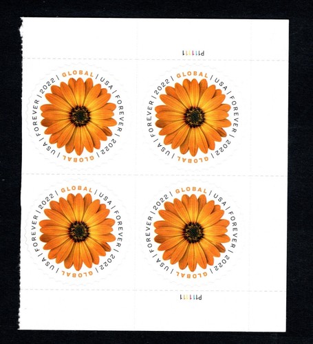 2022 5680 block - us,