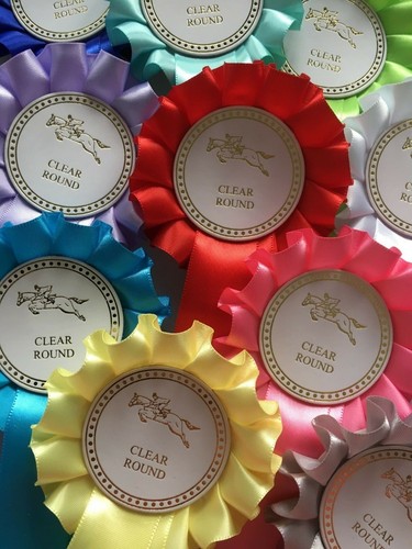 Tier jumping horse - 1,