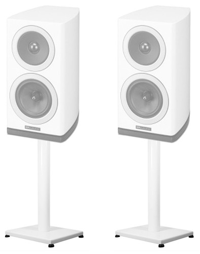 White steel stands for - stands,