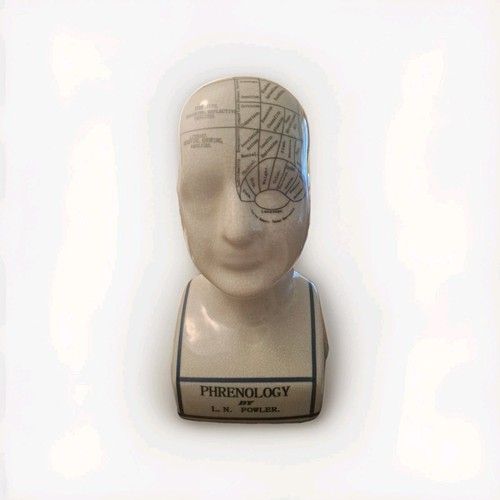 Fowler phrenology head bust - phrenology,