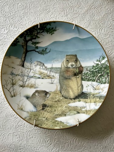 The woodland year peter - the,
