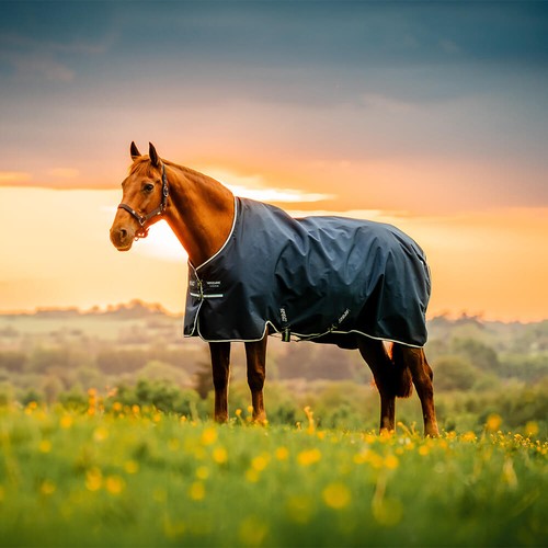 Horseware amigo ripstop - amigo,