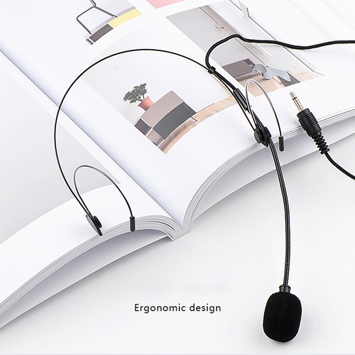 Double earhook headset mic - earhook,
