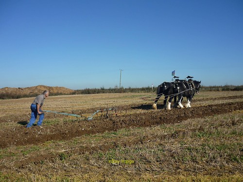 Photo 6x4 horse drawn plough - photo,