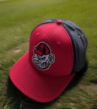 Georgia Bulldogs Ncaa  Red /