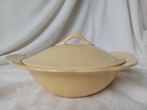 Grindley england laburnum - grindley,