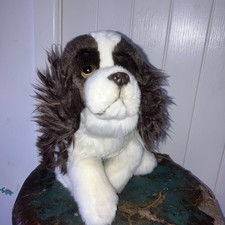 English Springer Spaniel teddy