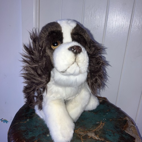 English springer spaniel teddy - english,