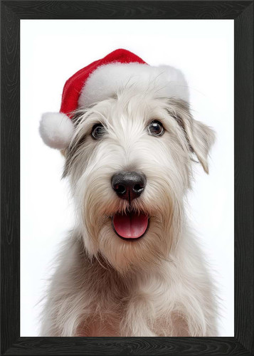 Sealyham terrier dog with - sealyham,