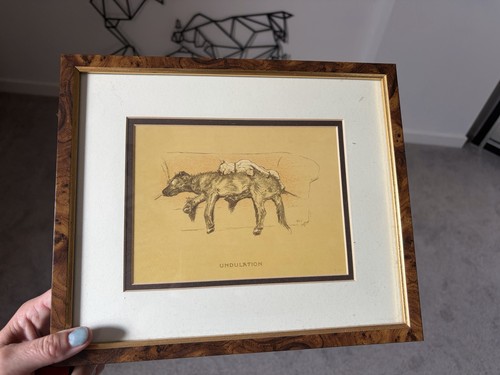 Irish wolfhound sofa art - wolfhound,