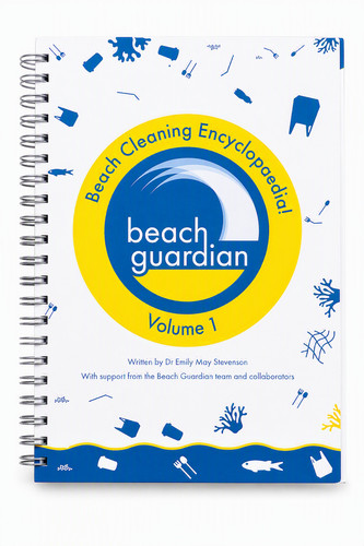 Beach guardian - beach,