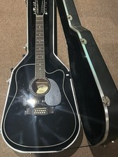 Dreadnought 12 string