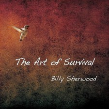 Billy Sherwood - The Art of