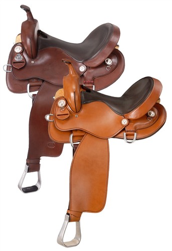 Gaited horse western - gaited, trail