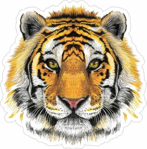 Tiger sticker decal x2 - tiger,