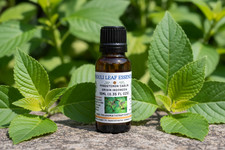 Patchouli Leaf Pure Essential