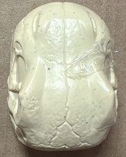 Bitzee Jurassic World