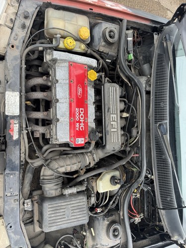 Ford escort rs2000 2000 - rs2000, red