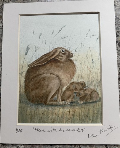 Limited edition mounted - limited,