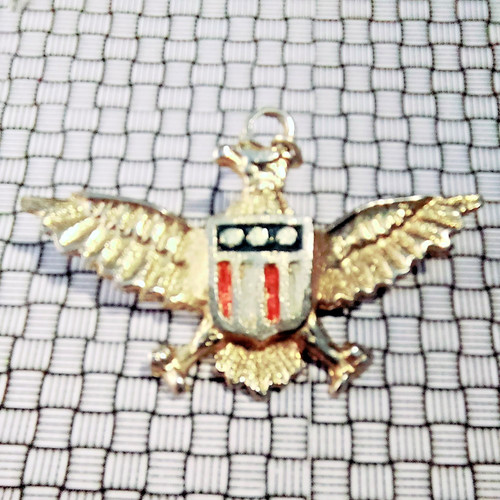 Large american eagle military - american,