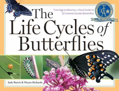 The life cycles - life, of