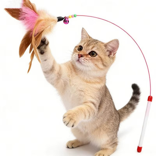 Cat kitten toy - kitten,