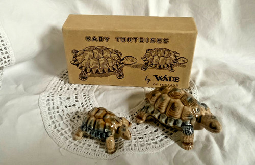 Wade baby tortoises pair - baby,