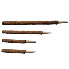 Coir Plant Climbing Coco