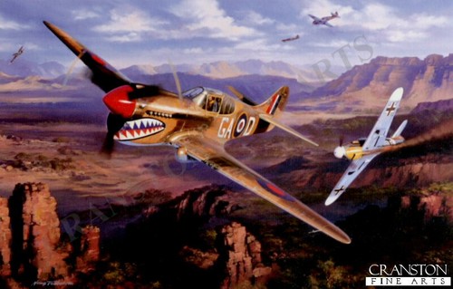 112 squadron ace billy - squadron, drake