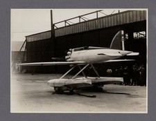 SHORT CRUSADER LARGE VINTAGE