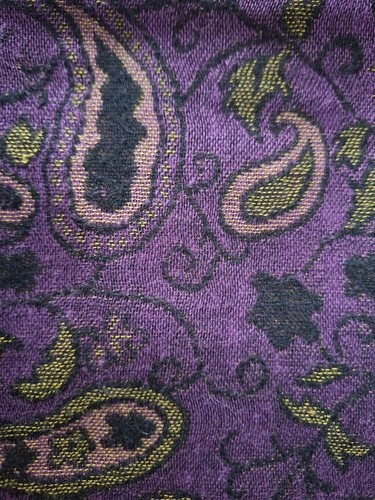 Elegant paisley pashmina shawl - elegant,