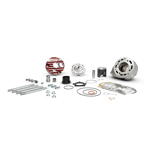 Malossi mhr 100 thermal group - 100,