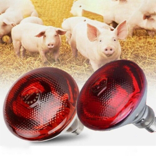 250w red infrared - 2/4x,