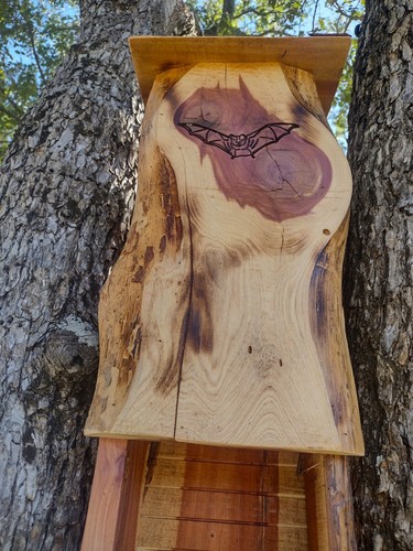 Bat house three chamber 100 - bat, chamber,