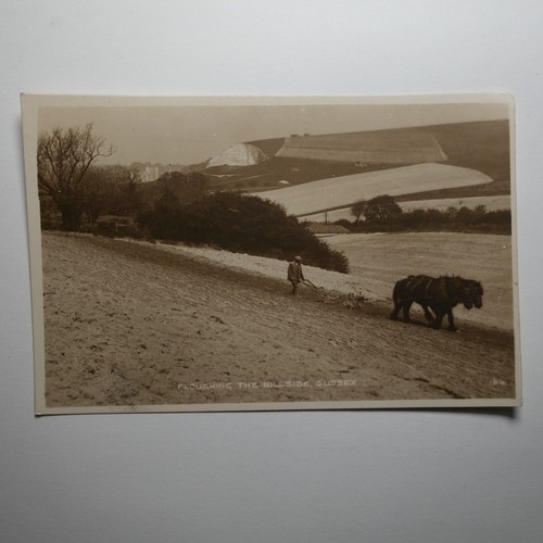 Real photo postcard horses - real, postcard,