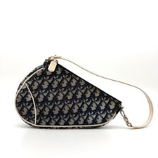 Christian Dior Trotter Saddle