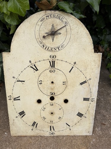 Antique longcase painted - longcase,