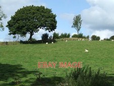 PHOTO  GRAZING LAND CEREDIGION