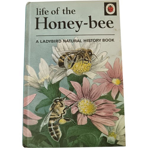 Vintage ladybird book life - vintage, of