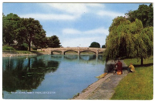 1960s postcard fishing river - postcard,