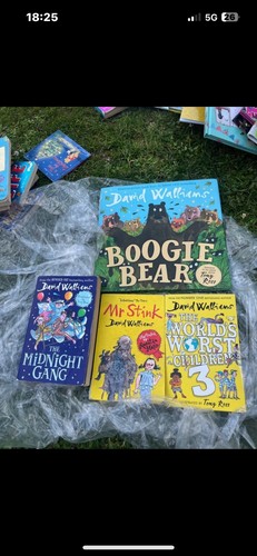 Childrens books david walliams - childrens,