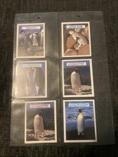 6 X Sugar Puffs Penguins Cards
