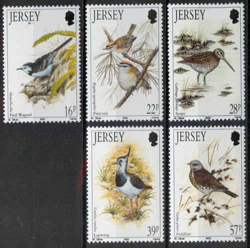 Jersey 1992 birds winter - jersey,