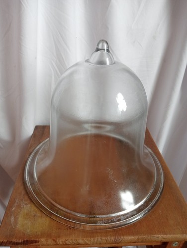 Clear glass bell cloche - ,