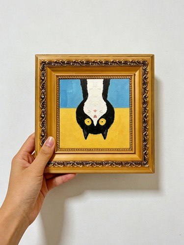 Upside down tuxedo cat fun - tuxedo,